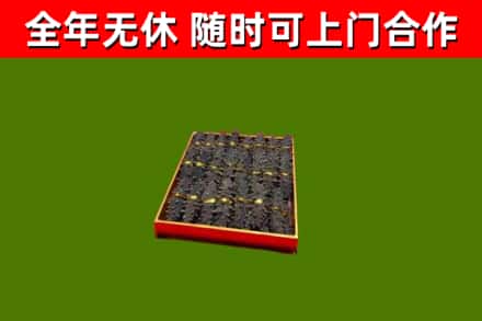 吉阳区回收海参
